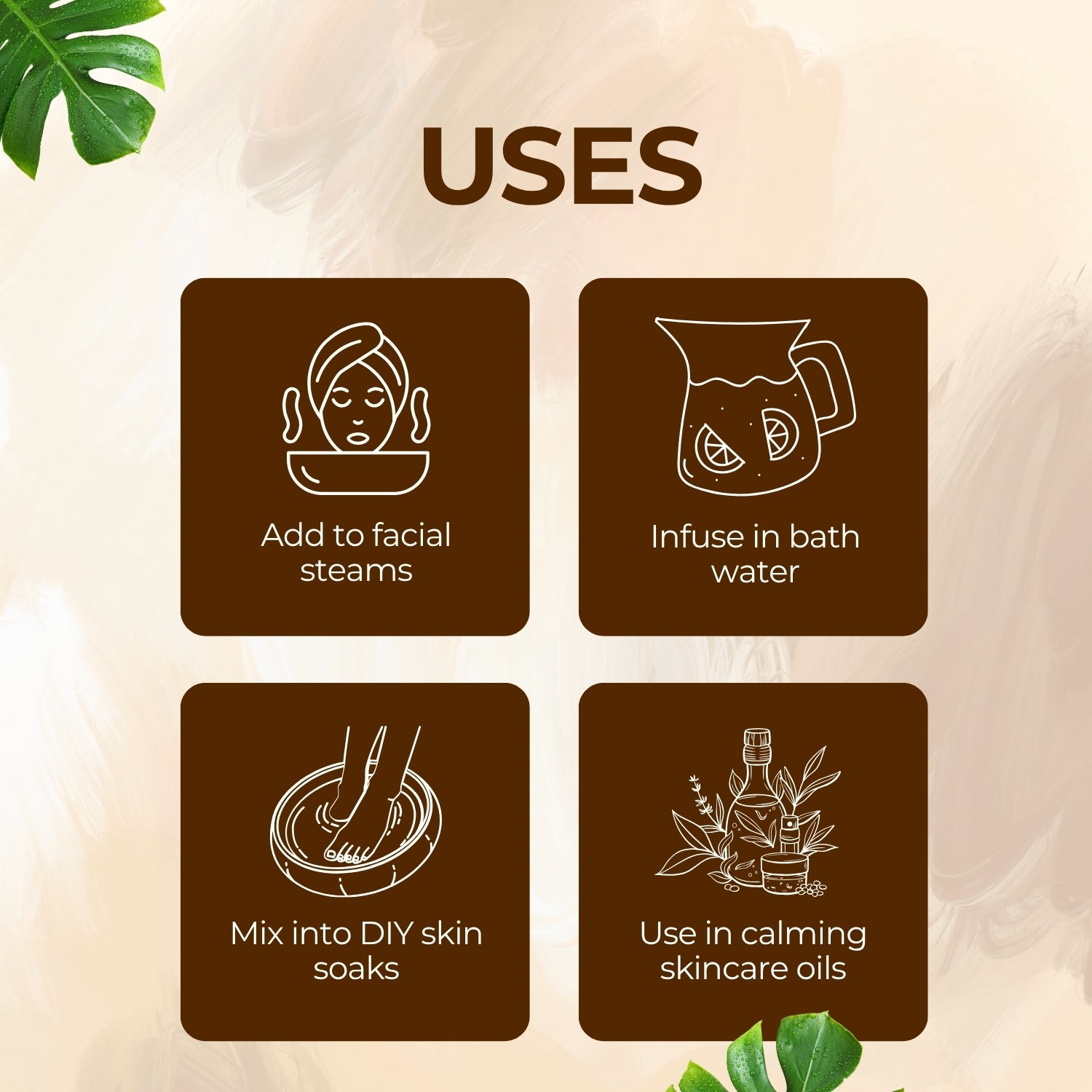 Shoprythm Dry Flower's Chamomile Dry Flower Shoprythm Dry Flower's Chamomile Dry Flower